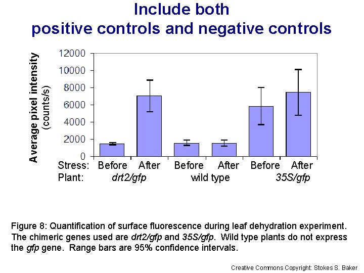 Average pixel intensity (counts/s) Include both positive controls and negative controls Stress: Before After