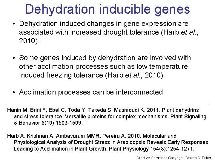 Dehydration inducible genes • Dehydration induced changes in gene expression are associated with increased