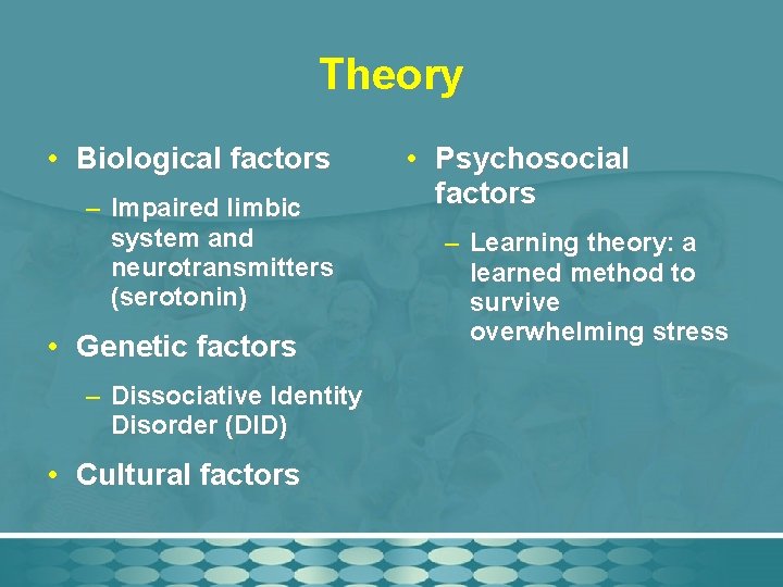 Theory • Biological factors – Impaired limbic system and neurotransmitters (serotonin) • Genetic factors