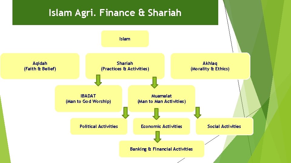 Islam Agri. Finance & Shariah Islam Aqidah (Faith & Belief) Shariah (Practices & Activities)