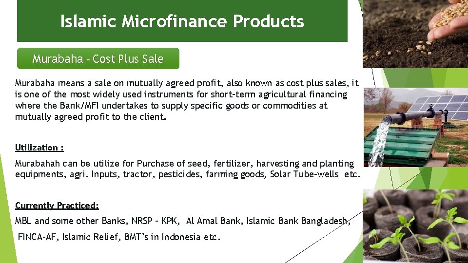 Islamic Microfinance Products Murabaha – Cost Plus Sale Murabaha means a sale on mutually
