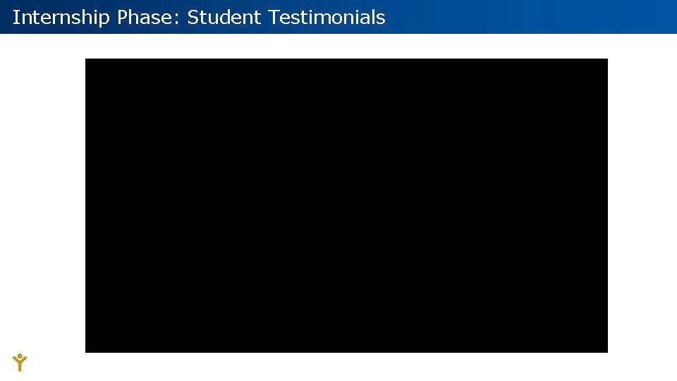 Internship Phase: Student Testimonials 