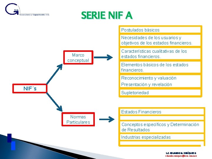 SERIE NIF A Postulados básicos Necesidades de los usuarios y objetivos de los estados