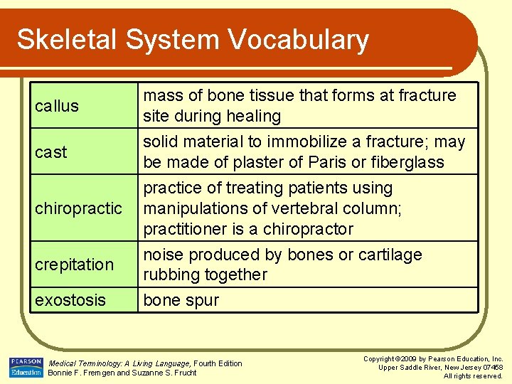 Skeletal System Vocabulary callus cast mass of bone tissue that forms at fracture site