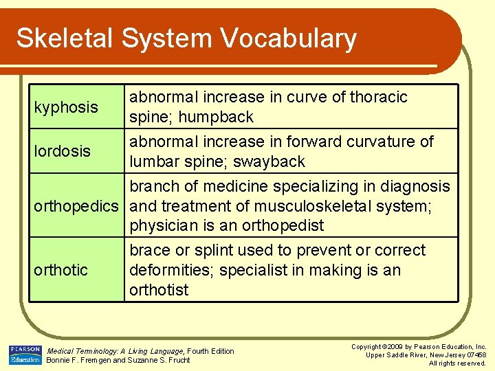 Skeletal System Vocabulary kyphosis lordosis abnormal increase in curve of thoracic spine; humpback abnormal