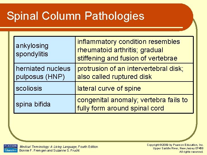 Spinal Column Pathologies ankylosing spondylitis inflammatory condition resembles rheumatoid arthritis; gradual stiffening and fusion