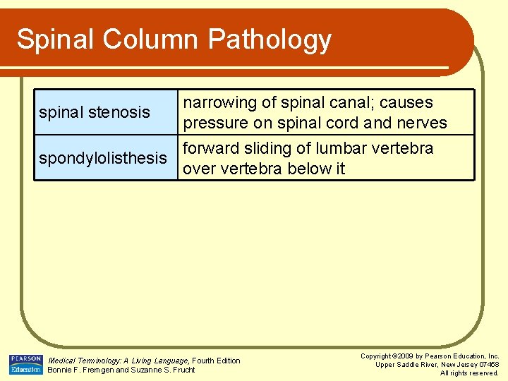 Spinal Column Pathology spinal stenosis narrowing of spinal canal; causes pressure on spinal cord