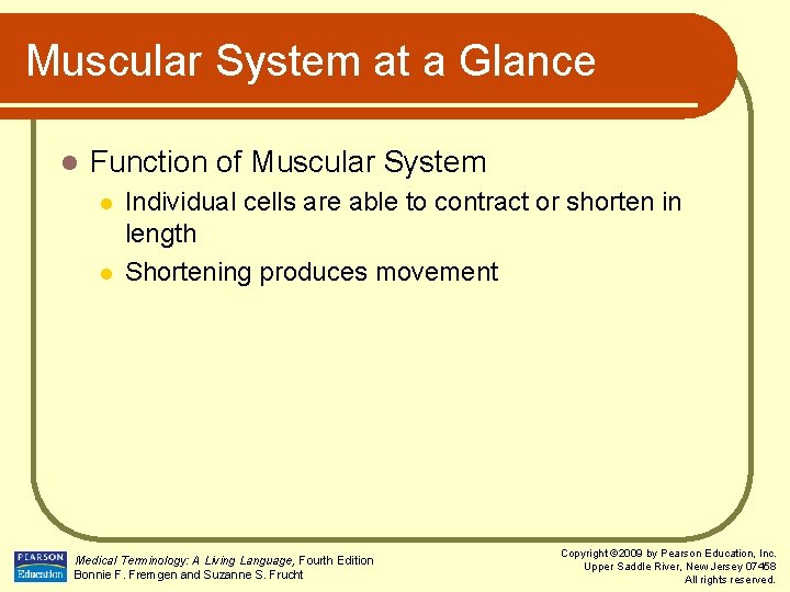 Muscular System at a Glance l Function of Muscular System l l Individual cells