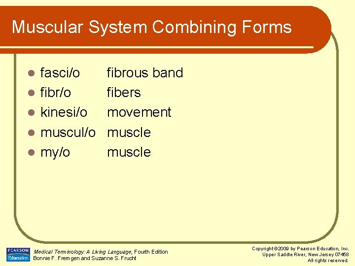 Muscular System Combining Forms l l l fasci/o fibr/o kinesi/o muscul/o my/o fibrous band