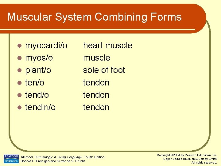 Muscular System Combining Forms l l l myocardi/o myos/o plant/o tend/o tendin/o heart muscle