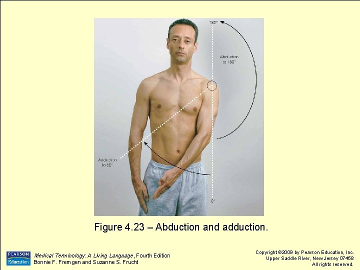  Figure 4. 23 – Abduction and adduction. Medical Terminology: A Living Language, Fourth