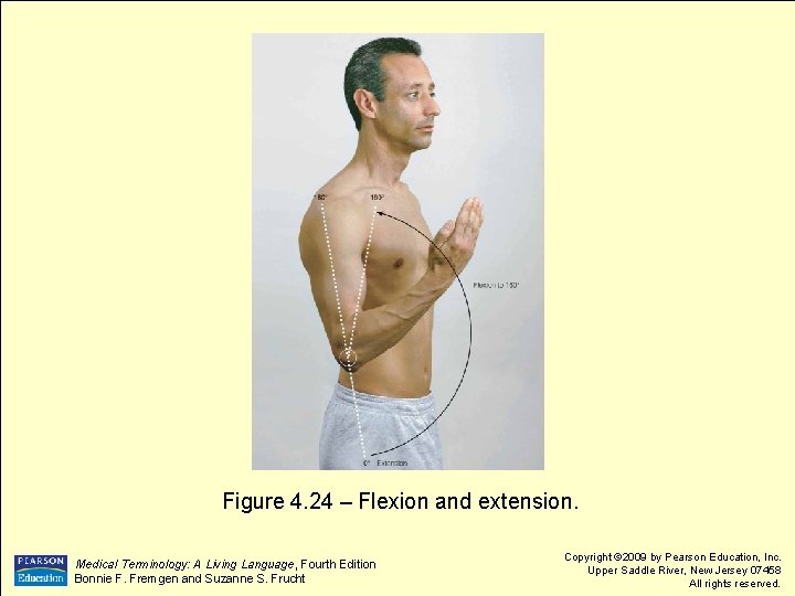  Figure 4. 24 – Flexion and extension. Medical Terminology: A Living Language, Fourth