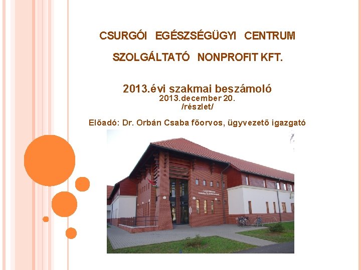 CSURGÓI EGÉSZSÉGÜGYI CENTRUM SZOLGÁLTATÓ NONPROFIT KFT. 2013. évi szakmai beszámoló 2013. december 20. /részlet/