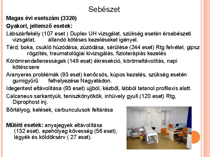 Sebészet Magas évi esetszám (3320) Gyakori, jellemző esetek: Lábszárfekély (107 eset ) Duplex UH