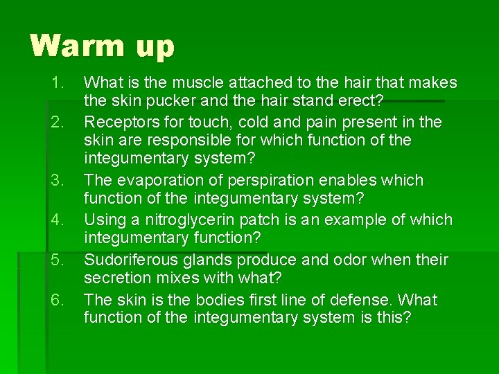 Warm up 1. 2. 3. 4. 5. 6. What is the muscle attached to