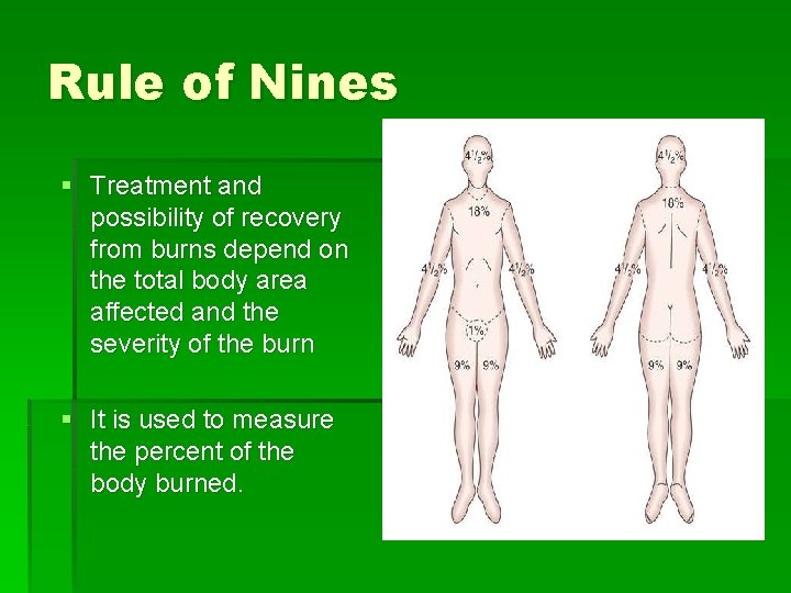 Rule of Nines § Treatment and possibility of recovery from burns depend on the