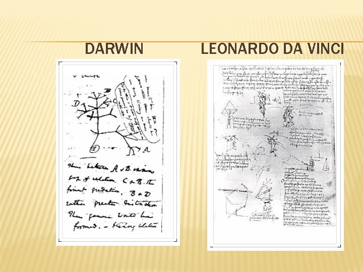 DARWIN LEONARDO DA VINCI 