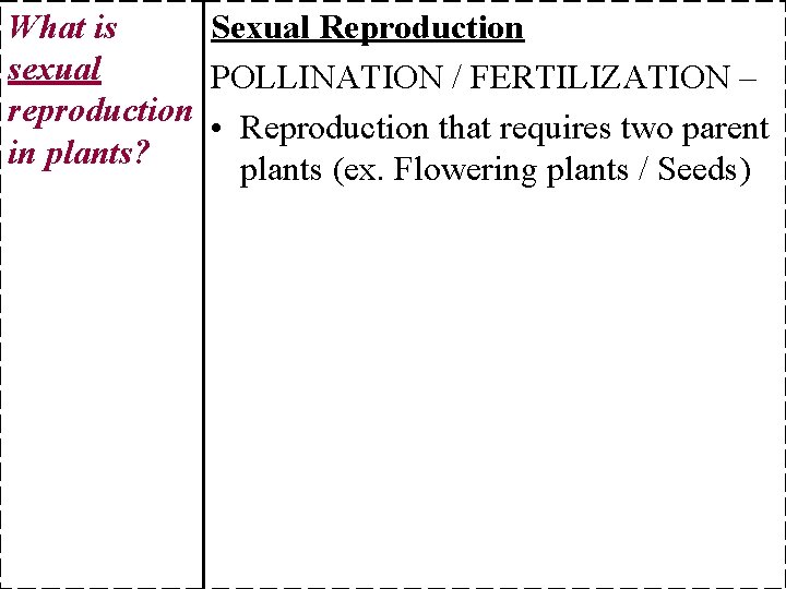 What is Sexual Reproduction sexual POLLINATION / FERTILIZATION – reproduction • Reproduction that requires