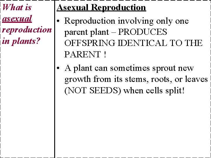 What is Asexual Reproduction asexual • Reproduction involving only one reproduction parent plant –