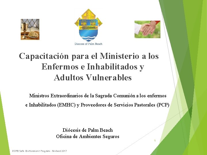 Capacitación para el Ministerio a los Enfermos e Inhabilitados y Adultos Vulnerables Ministros Extraordinarios