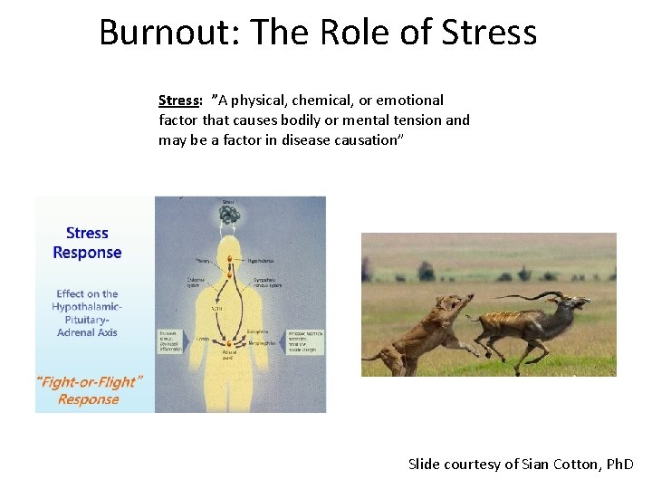 Burnout: The Role of Stress: ”A physical, chemical, or emotional factor that causes bodily Burnout: The Role of Stress: ”A physical, chemical, or emotional factor that causes bodily
