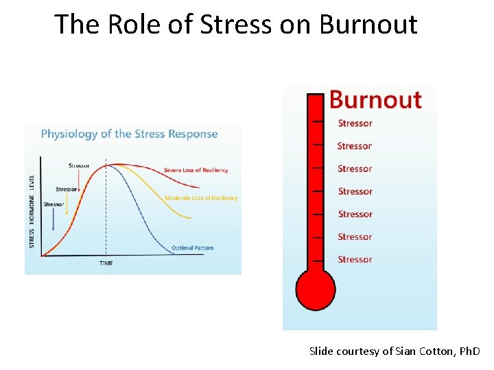 The Role of Stress on Burnout Slide courtesy of Sian Cotton, Ph. D The Role of Stress on Burnout Slide courtesy of Sian Cotton, Ph. D