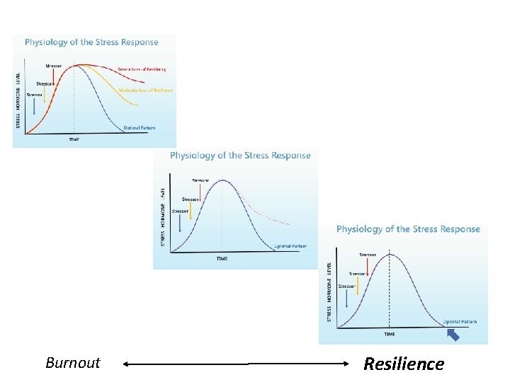 Burnout Resilience Burnout Resilience