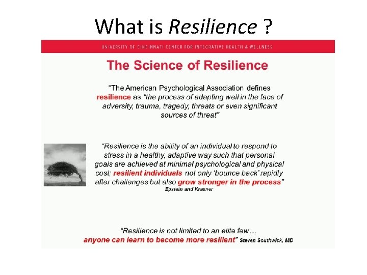 What is Resilience ? What is Resilience ?