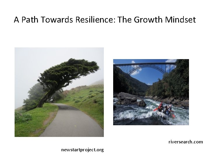 A Path Towards Resilience: The Growth Mindset riversearch. com newstartproject. org A Path Towards Resilience: The Growth Mindset riversearch. com newstartproject. org