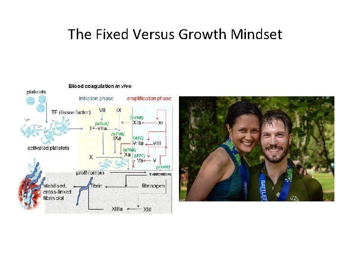 The Fixed Versus Growth Mindset The Fixed Versus Growth Mindset