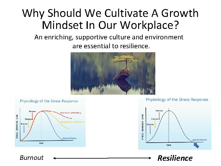 Why Should We Cultivate A Growth Mindset In Our Workplace? An enriching, supportive culture Why Should We Cultivate A Growth Mindset In Our Workplace? An enriching, supportive culture
