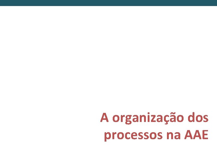 A organização dos processos na AAE 