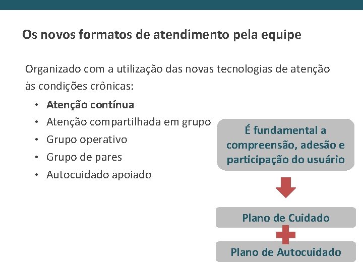 Os novos formatos de atendimento pela equipe Organizado com a utilização das novas tecnologias