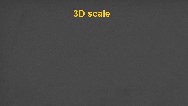 3 D scale 