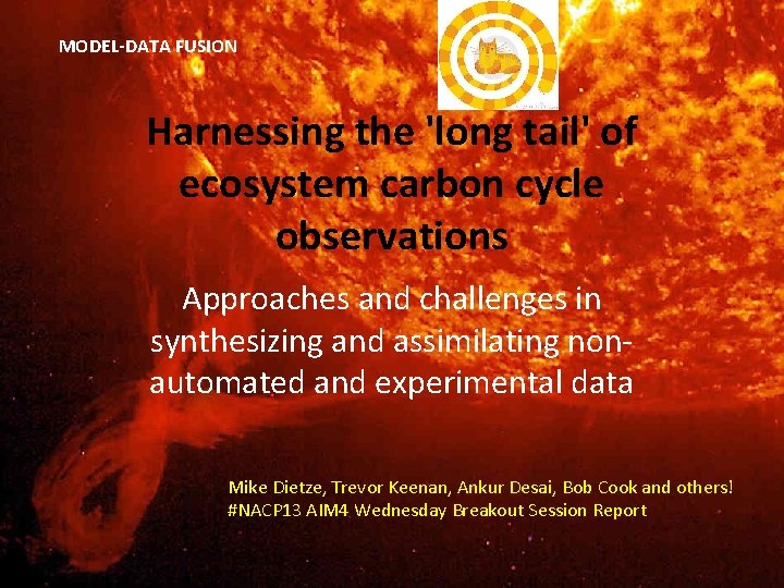 MODEL-DATA FUSION Harnessing the 'long tail' of ecosystem carbon cycle observations Approaches and challenges