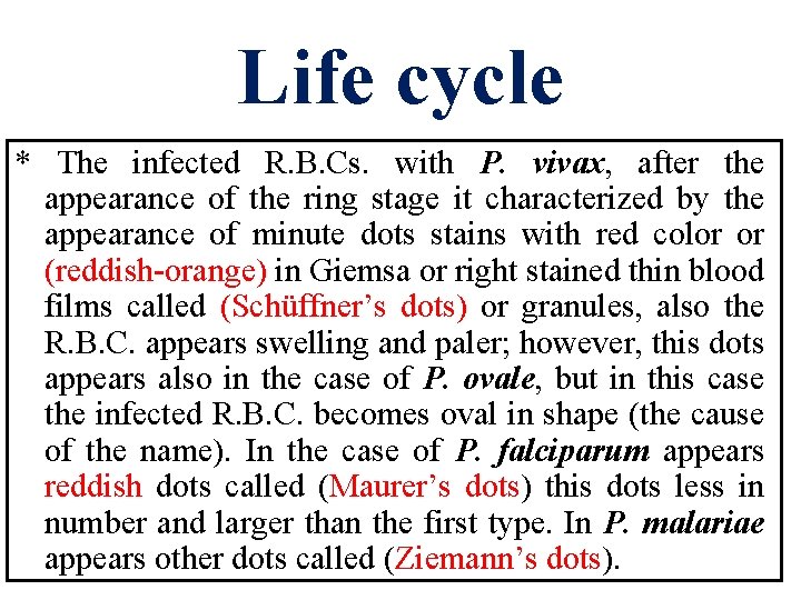 Life cycle * The infected R. B. Cs. with P. vivax, after the appearance Life cycle * The infected R. B. Cs. with P. vivax, after the appearance