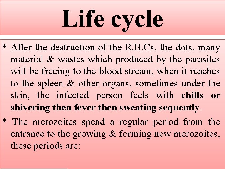 Life cycle * After the destruction of the R. B. Cs. the dots, many Life cycle * After the destruction of the R. B. Cs. the dots, many