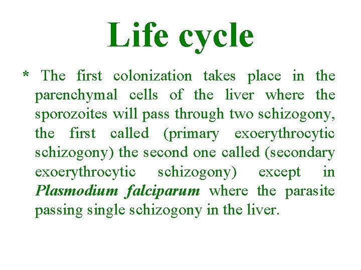 Life cycle * The first colonization takes place in the parenchymal cells of the Life cycle * The first colonization takes place in the parenchymal cells of the