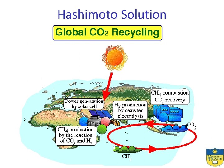 Hashimoto Solution 