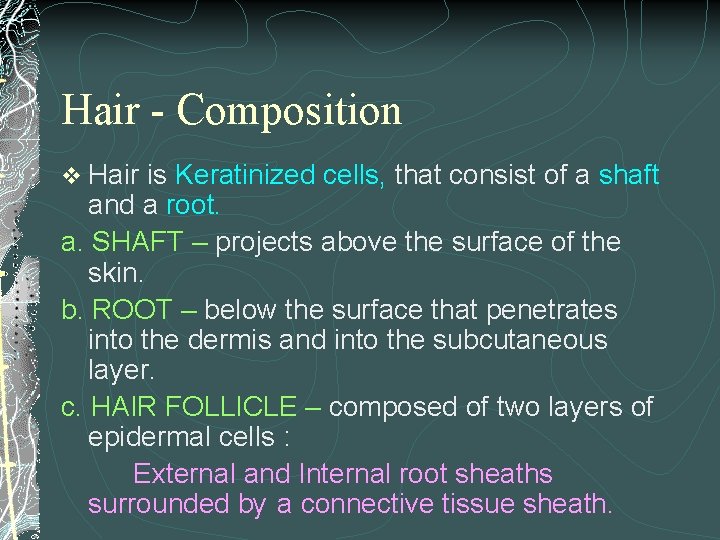 Hair - Composition v Hair is Keratinized cells, that consist of a shaft and