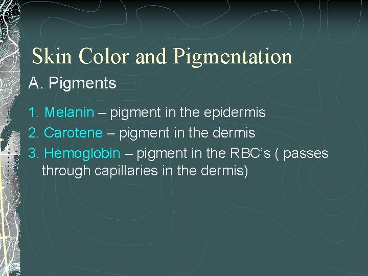 Skin Color and Pigmentation A. Pigments 1. Melanin – pigment in the epidermis 2.