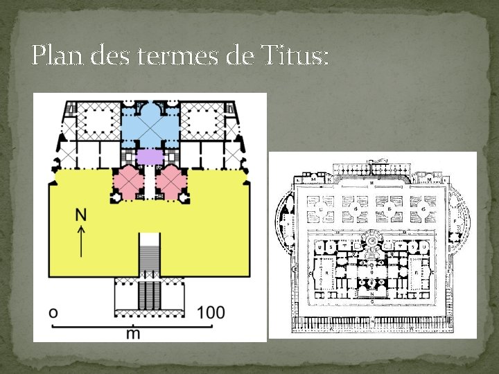 Plan des termes de Titus: 