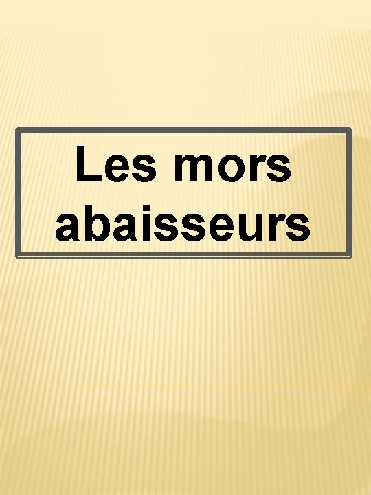 Les mors abaisseurs 