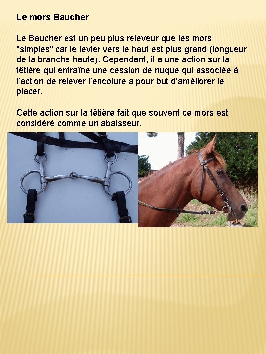 Le mors Baucher Le Baucher est un peu plus releveur que les mors "simples"