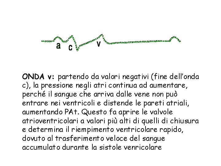 ONDA v: partendo da valori negativi (fine dell’onda c), la pressione negli atri continua