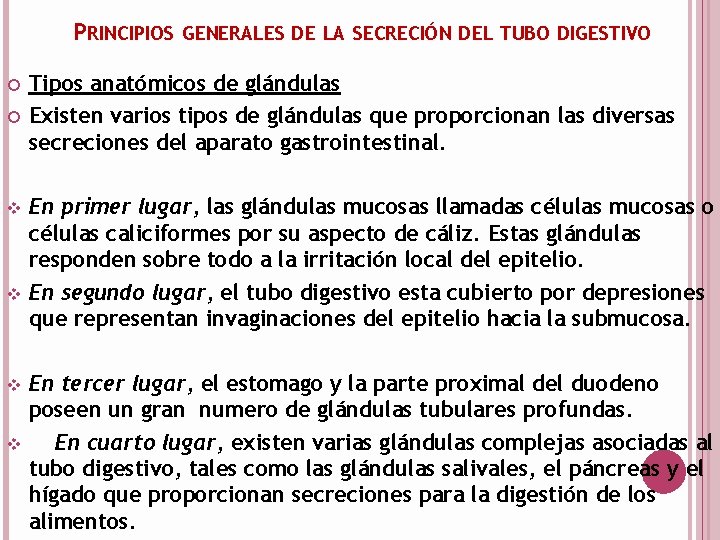 PRINCIPIOS GENERALES DE LA SECRECIÓN DEL TUBO DIGESTIVO v v Tipos anatómicos de glándulas