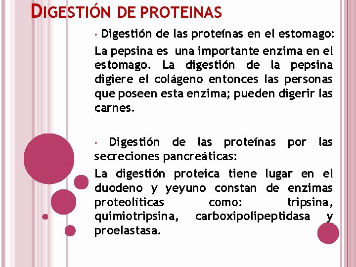 DIGESTIÓN DE PROTEINAS Digestión de las proteínas en el estomago: La pepsina es una