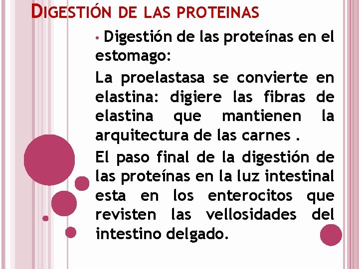 DIGESTIÓN DE LAS PROTEINAS Digestión de las proteínas en el estomago: La proelastasa se