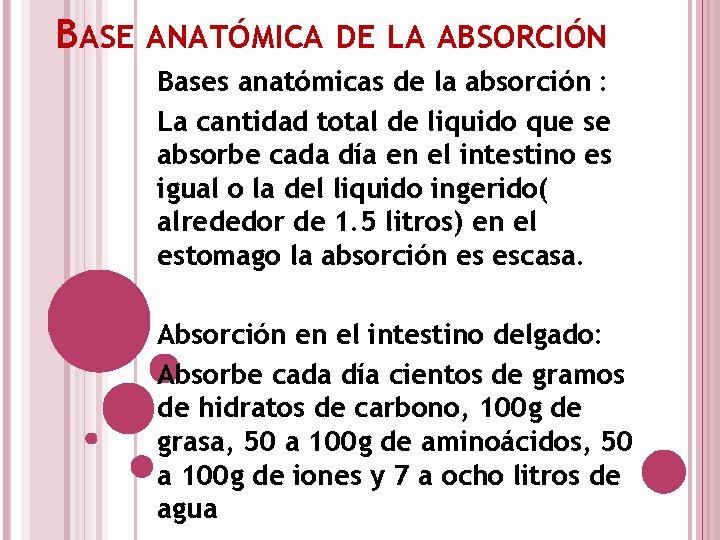 BASE ANATÓMICA DE LA ABSORCIÓN Bases anatómicas de la absorción : La cantidad total