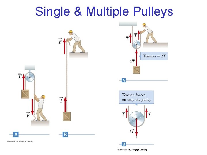 Single & Multiple Pulleys 